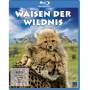Waisen Der Wildnis&nbsp;"Olivia Mokiejewski"